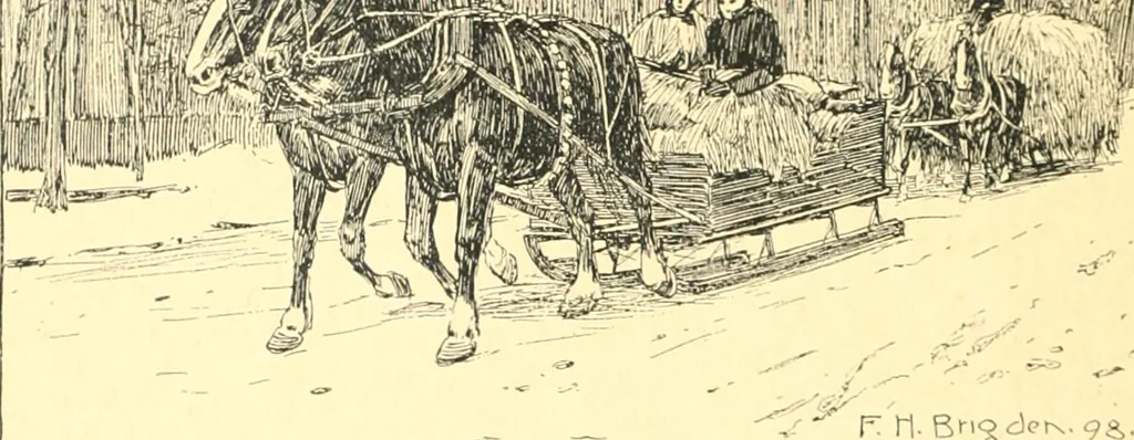 An illustration from Ninety-nine : a calendar for the year 1899; with drawings illustrative of country life in Canada, 1899, leaf 5