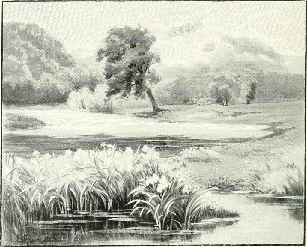 An illustration from Ninety-seven : a calendar for the year 1897 with sketches of some Canadian water-ways and appropriate selections from Canadian writers, 1897, leaf 11