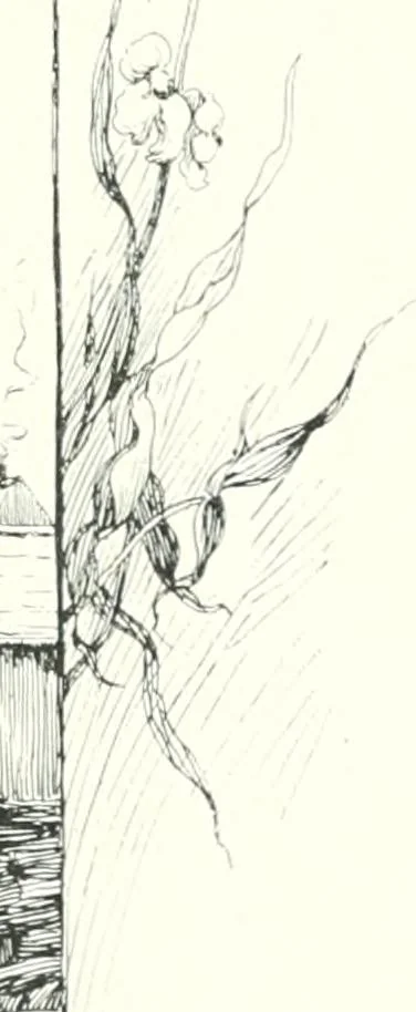An illustration from Ninety-seven : a calendar for the year 1897 with sketches of some Canadian water-ways and appropriate selections from Canadian writers, 1897, leaf 12