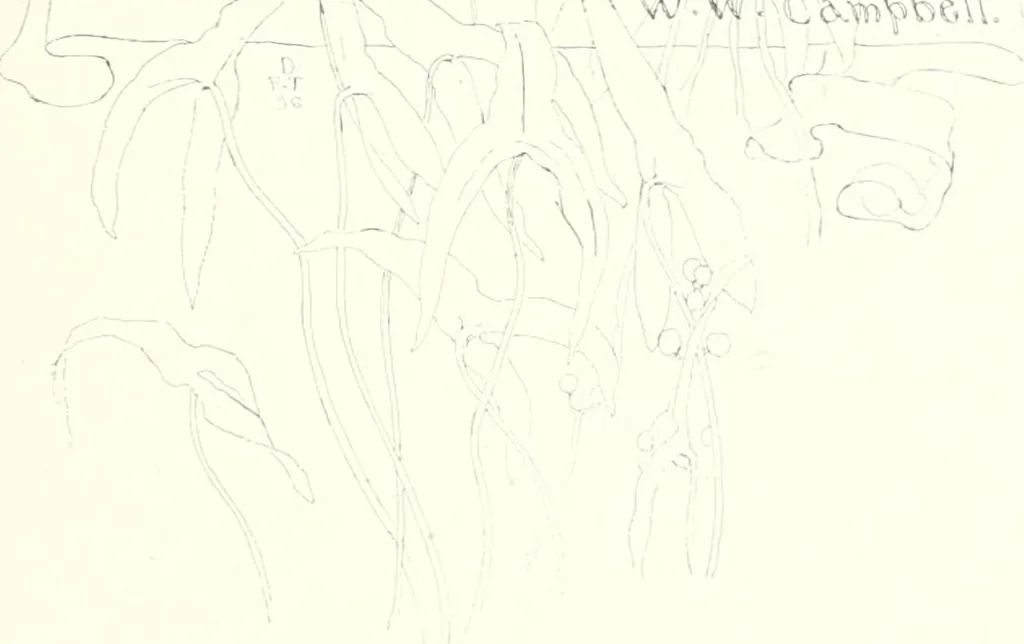 An illustration from Ninety-seven : a calendar for the year 1897 with sketches of some Canadian water-ways and appropriate selections from Canadian writers, 1897, leaf 18