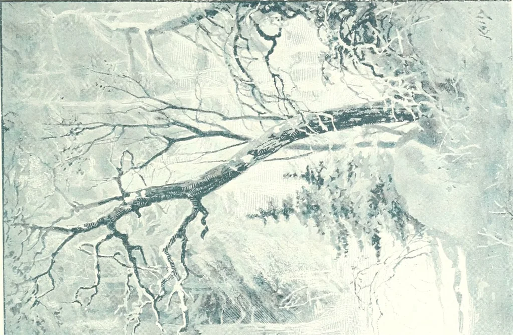 An illustration from Ninety-six : a calendar for the year 1896 with sketches of some Canadian water-ways and appropriate selections from Canadian writers, 1896, leaf 4