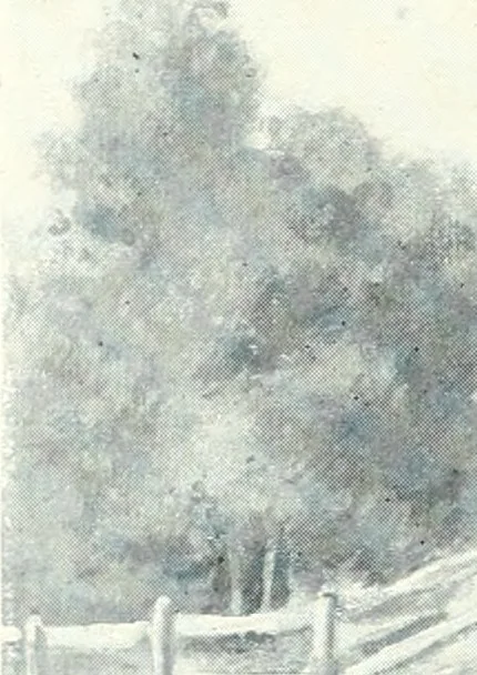 An illustration from Ninety-six : a calendar for the year 1896 with sketches of some Canadian water-ways and appropriate selections from Canadian writers, 1896, leaf 9