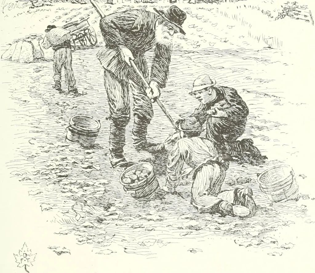 An illustration from Ninety-three : a calendar for the year of our Lord MDCCCXCIII; with verses by some of the Canadian writers of verse and drawings by members of the Toronto Art Students' League, 1893, leaf 18