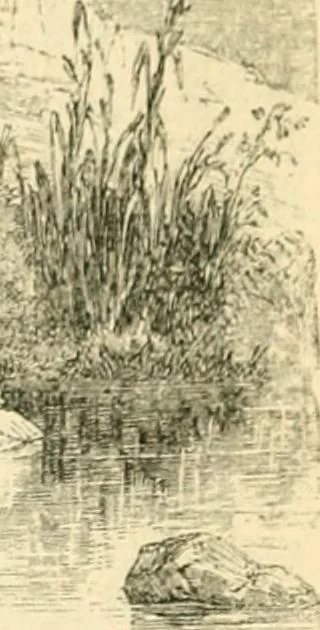 An illustration from Nineveh and Babylon; a narrative of a second expedition to Assyria during the years 1849, 1850, and 1851, 1867, leaf 125