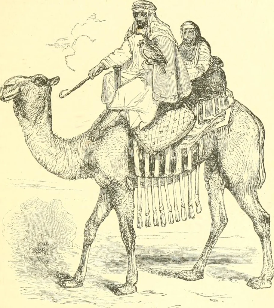 An illustration from Nineveh and Babylon; a narrative of a second expedition to Assyria during the years 1849, 1850, and 1851, 1867, leaf 162