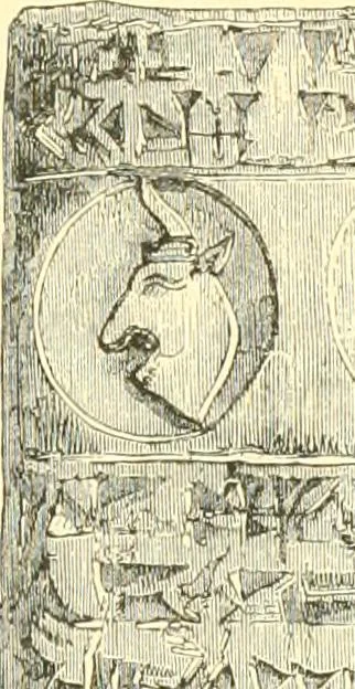 An illustration from Nineveh and Babylon; a narrative of a second expedition to Assyria during the years 1849, 1850, and 1851, 1867, leaf 224