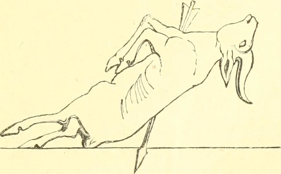 An illustration from Nineveh and Babylon; a narrative of a second expedition to Assyria during the years 1849, 1850, and 1851, 1867, leaf 26