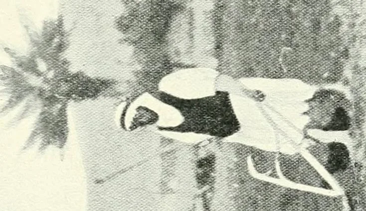 An illustration from The ninth International Congress of Delegated Representatives of Master Cotton Spinners' and Manufacturers' Associations, held in ... Scheveningen, June 9th, 10th, and 11th, 1913, 1913, leaf 350