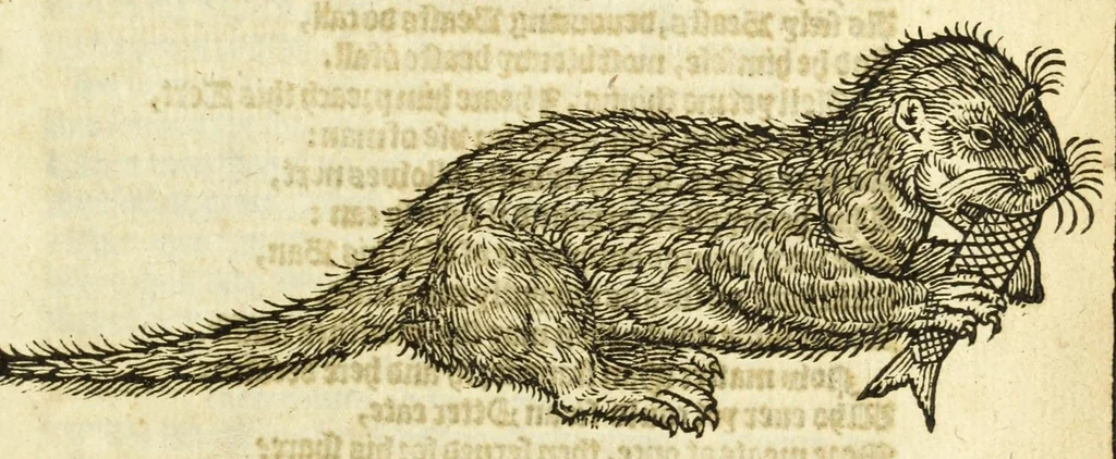 An illustration from The noble art of venerie or hunting : wherein is handled and set out the vertues, nature, and properties of fifteene sundry chaces, together with the order and manner how to hunt and kill euery one of them, 1611, leaf 213