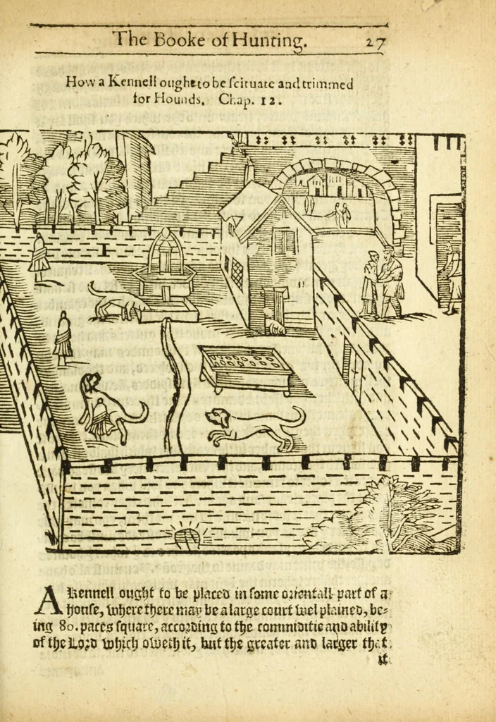 An illustration from The noble art of venerie or hunting : wherein is handled and set out the vertues, nature, and properties of fifteene sundry chaces, together with the order and manner how to hunt and kill euery one of them, 1611, leaf 35