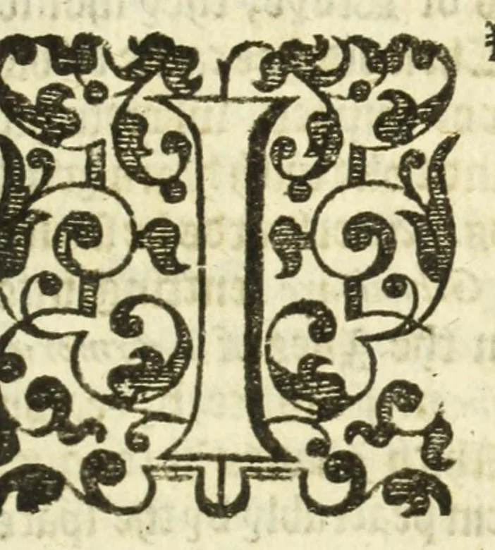An illustration from The noble art of venerie or hunting : wherein is handled and set out the vertues, nature, and properties of fifteene sundry chaces, together with the order and manner how to hunt and kill euery one of them, 1611, leaf 9