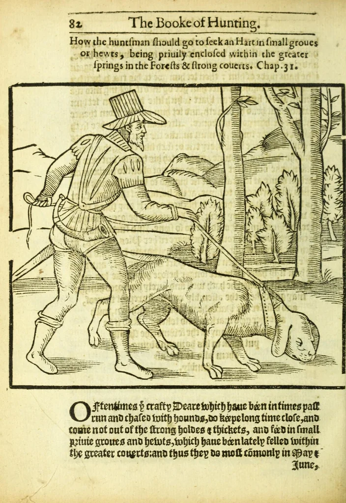 An illustration from The noble art of venerie or hunting : wherein is handled and set out the vertues, nature, and properties of fifteene sundry chaces, together with the order and manner how to hunt and kill euery one of them, 1611, leaf 90