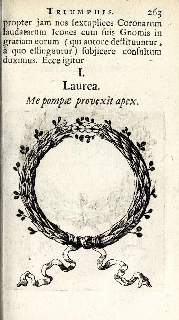 An illustration from Noctes granzovianae, seu, Discursus panegyricus de antiquis triumphis, in publicum tam ecclesiarum quàm politiarum usum, 1661, leaf 319