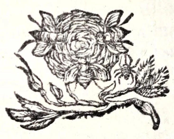 An illustration from Noctes granzovianae, seu, Discursus panegyricus de antiquis triumphis, in publicum tam ecclesiarum quàm politiarum usum, 1661, leaf 614