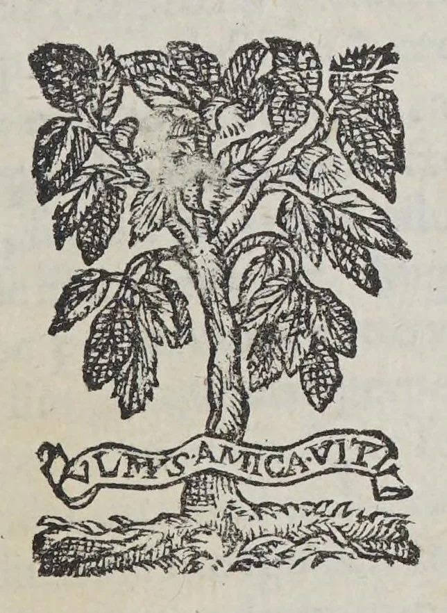 An illustration from Noenia in obitum illustris domini Sigfriedi, illustris atque generosi domini, domini Iohannis Friderici Hoffmanni, liberi baronis in Grumpuhel & Stechau &c. haereditarii praefecti aulae Styriacae, ac mariscalci haereditarii Austriae & Styricae: à consiliis, Illustriss. Dn. Dn. Caroli archiducis Austriae, consultissimi, filii: qui, post sesquimenstruam febris exaestuationem, Patauii Italiae, Calend. augusti, anno partus S. Virginis.1589. piè in Domino diem obiit: & postridiè corpore as autiam sepulturam sedis liberae Strechau in Germaniam abductus est:, 1589, leaf 7