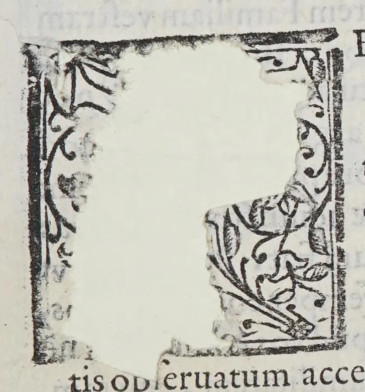 An illustration from Noenia in obitum illustris domini Sigfriedi, illustris atque generosi domini, domini Iohannis Friderici Hoffmanni, liberi baronis in Grumpuhel & Stechau &c. haereditarii praefecti aulae Styriacae, ac mariscalci haereditarii Austriae & Styricae: à consiliis, Illustriss. Dn. Dn. Caroli archiducis Austriae, consultissimi, filii: qui, post sesquimenstruam febris exaestuationem, Patauii Italiae, Calend. augusti, anno partus S. Virginis.1589. piè in Domino diem obiit: & postridiè corpore as autiam sepulturam sedis liberae Strechau in Germaniam abductus est:, 1589, leaf 9