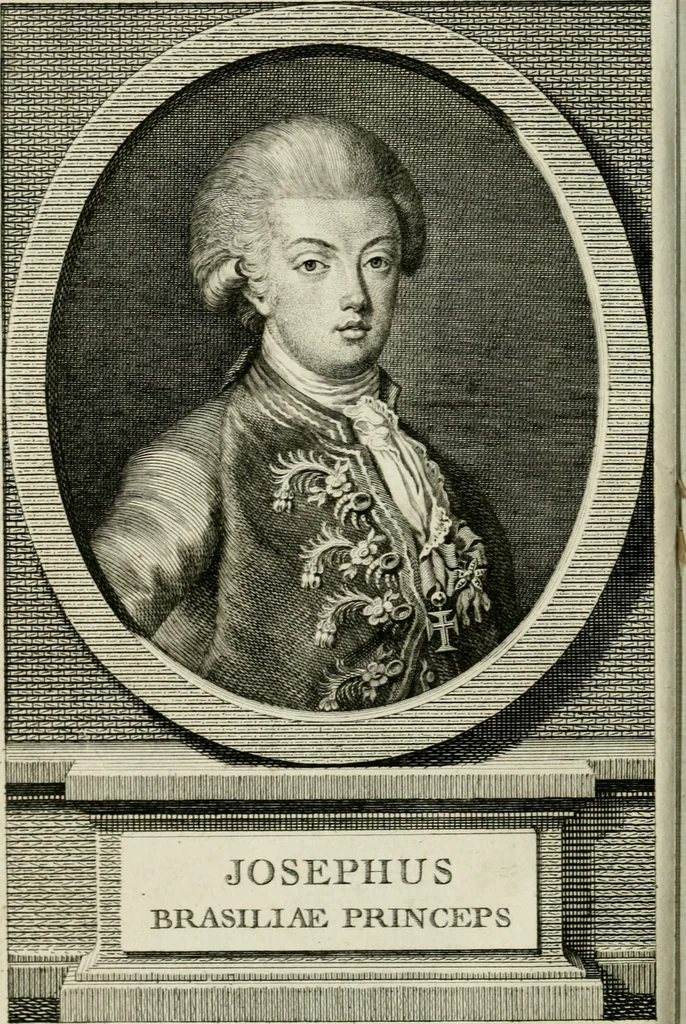 An illustration from Noites jozephinas de Mirtilo : sobre a infausta morte do Serenissimo Senhor D. Joze Principe do Brazil, dedicadas ao consterna do povo luzitano, 1790, leaf 7