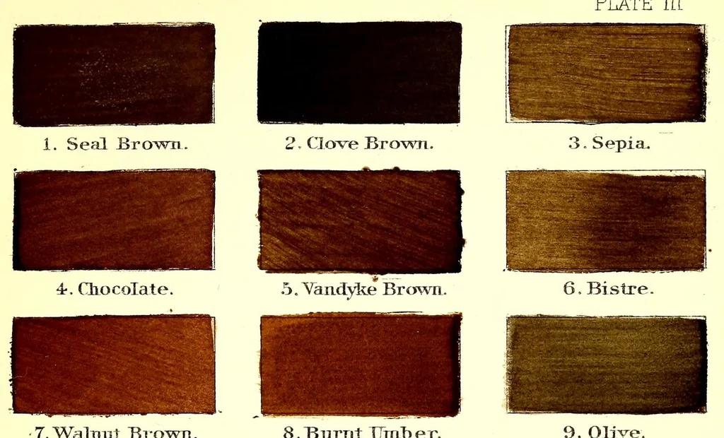 An illustration from A nomenclature of colors for naturalists : and compendium of useful knowledge for ornithologists, 1886, leaf 173