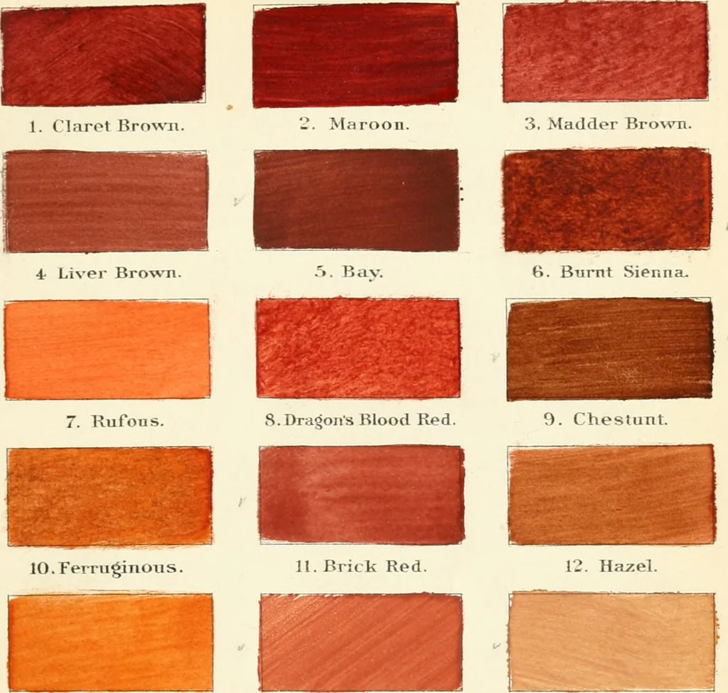 An illustration from A nomenclature of colors for naturalists : and compendium of useful knowledge for ornithologists., 1886, leaf 150