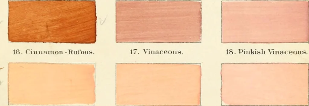 An illustration from A nomenclature of colors for naturalists : and compendium of useful knowledge for ornithologists., 1886, leaf 150