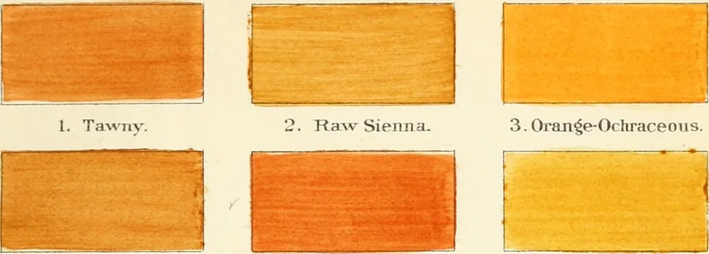 An illustration from A nomenclature of colors for naturalists : and compendium of useful knowledge for ornithologists., 1886, leaf 154