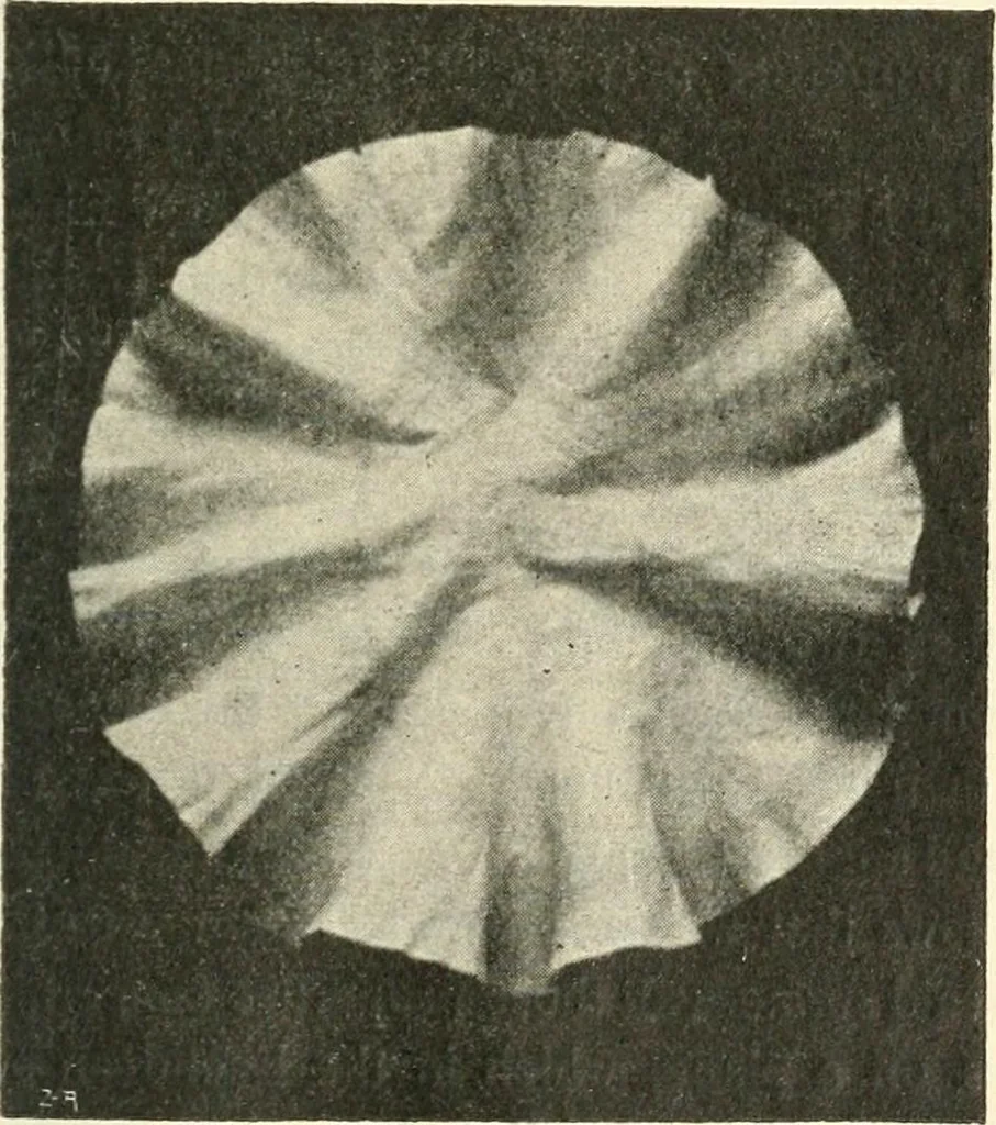 An illustration from Non-Euclidean geometry; a critical and historical study of its development, 1912, leaf 148