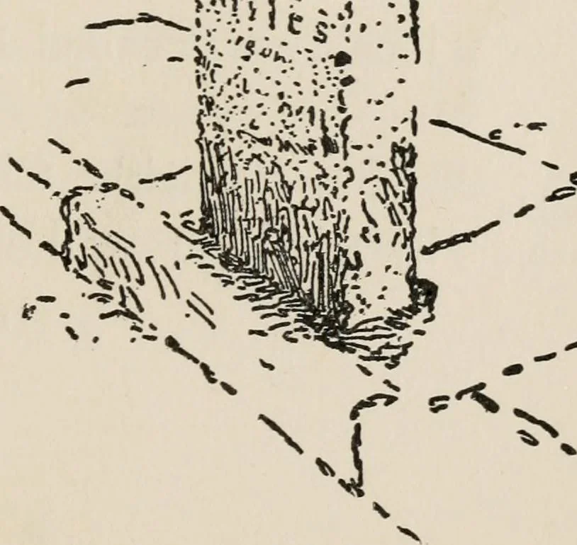 An illustration from Nooks & corners of old New York, 1899, leaf 156