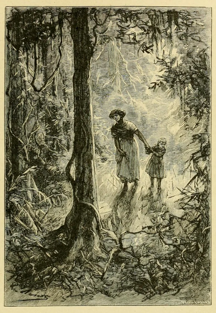 An illustration from Nord contre Sud, 1887, leaf 233