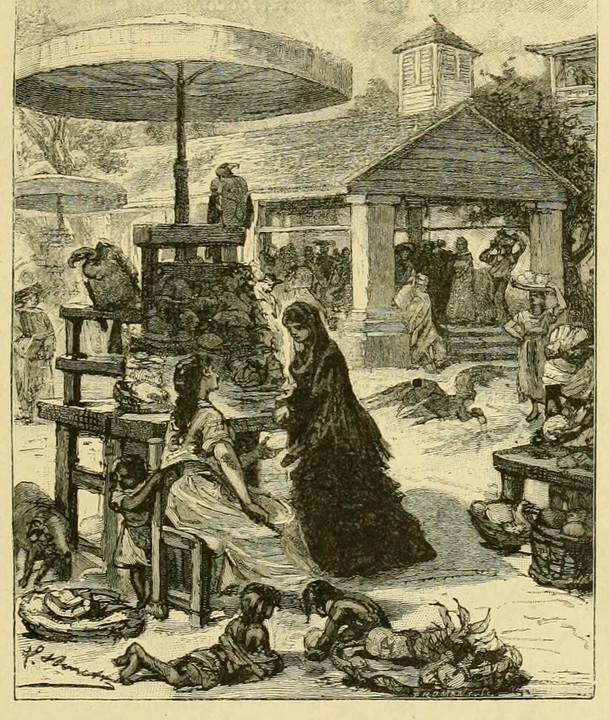 An illustration from Nord contre Sud, 1887, leaf 281