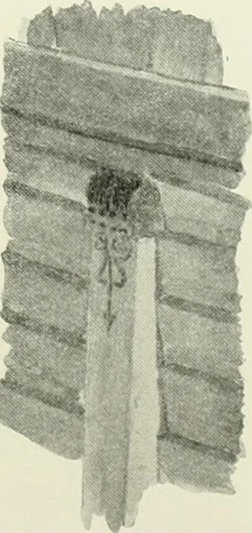 An illustration from Norges kirker i det 16de og 17de aarhundrede, 1911, leaf 184