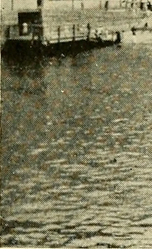 An illustration from The North end, a survey and a comprehensive plan, 1919, leaf 98
