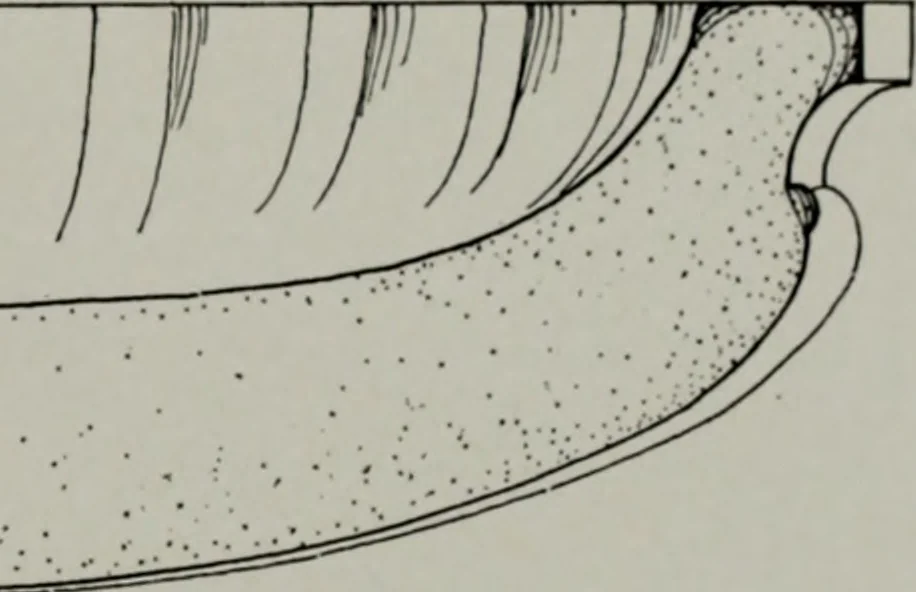 An illustration from Northern Italian details;, 1916, leaf 140