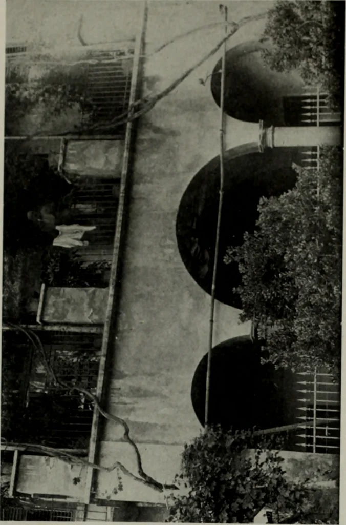 An illustration from Northern Italian details;, 1916, leaf 176