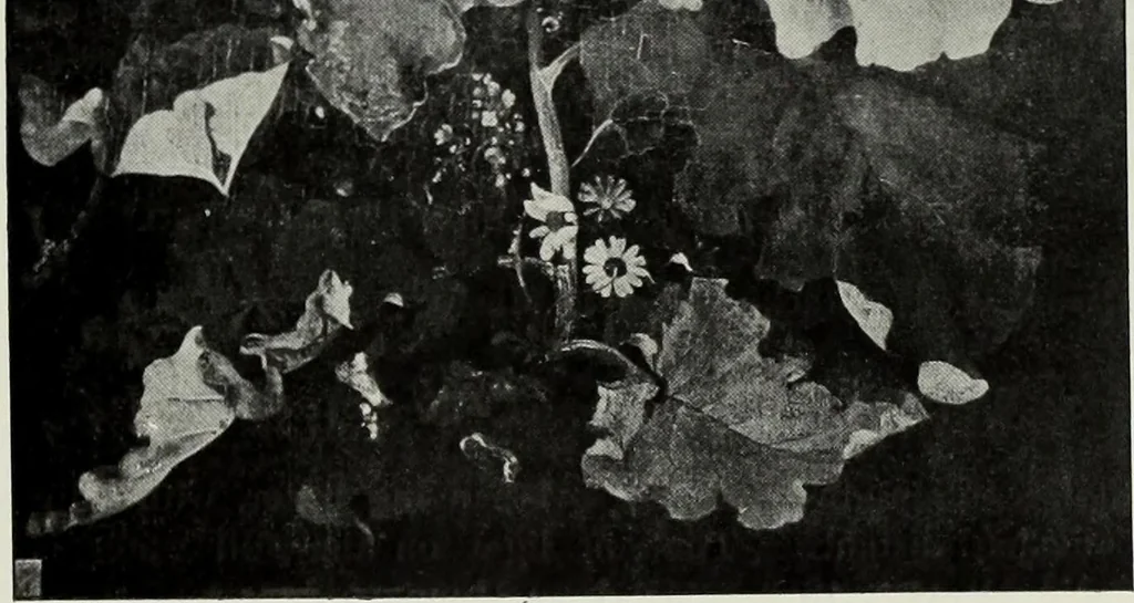 An illustration from The Norwich school of painting : being a full account of the Norwich exhibitions, the lives of the painters, the lists of their respecitve exhibits and descriptions of the pictures, 1905, leaf 100
