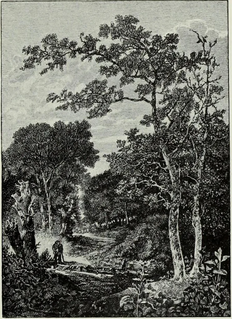 An illustration from The Norwich school of painting : being a full account of the Norwich exhibitions, the lives of the painters, the lists of their respecitve exhibits and descriptions of the pictures, 1905, leaf 110