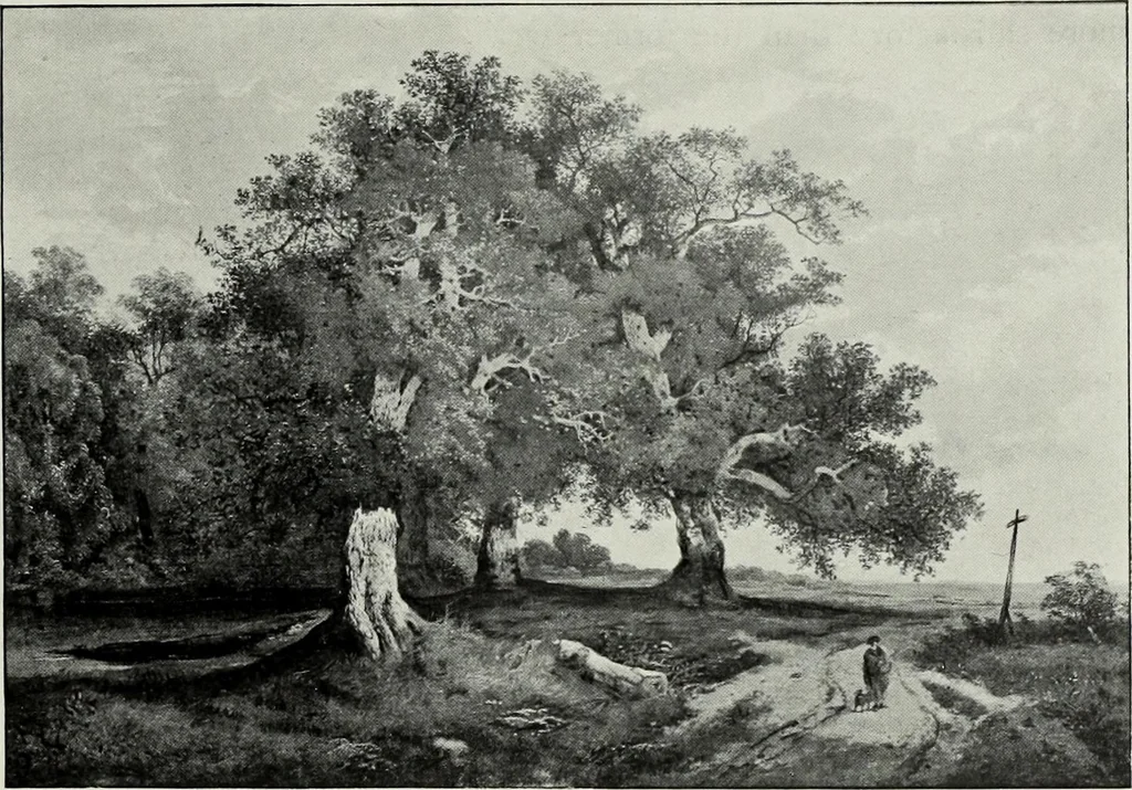 An illustration from The Norwich school of painting : being a full account of the Norwich exhibitions, the lives of the painters, the lists of their respecitve exhibits and descriptions of the pictures, 1905, leaf 216
