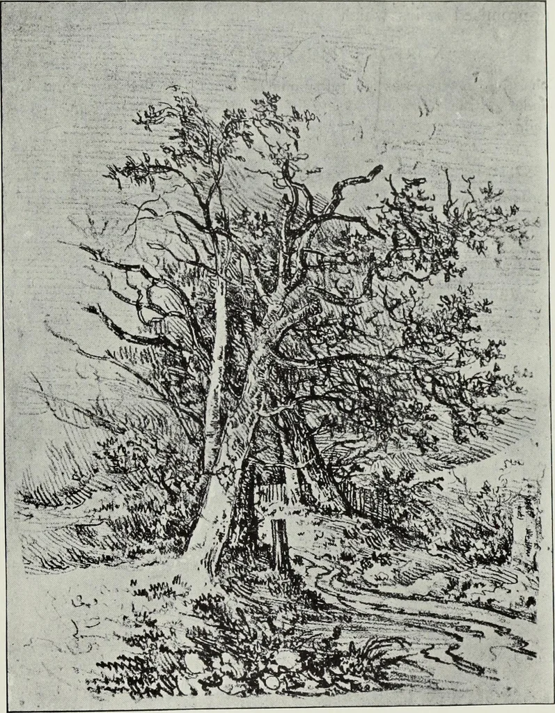 An illustration from The Norwich school of painting : being a full account of the Norwich exhibitions, the lives of the painters, the lists of their respecitve exhibits and descriptions of the pictures, 1905, leaf 92