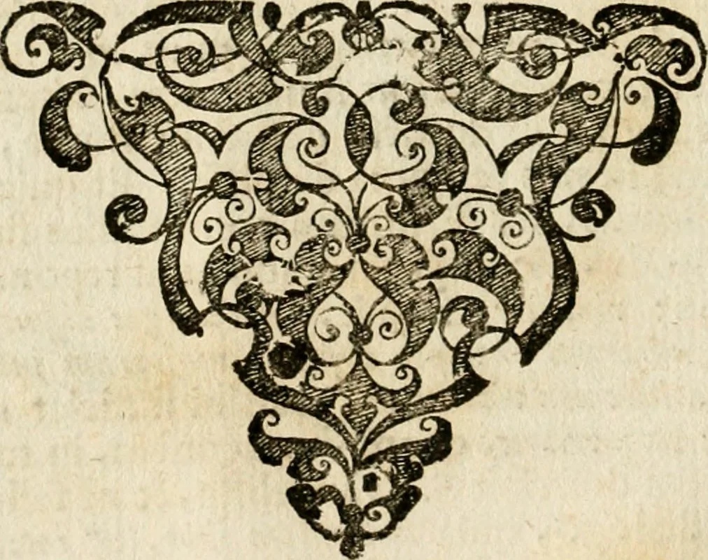 An illustration from Peripateticus nostri temporis, seu, Philosophus discursivus : in biennali cursu, per discursus symbolico-physicos, ad discursum, juxta sanctorum philosophorum exempla, piè curiosum instructus .., 1724, leaf 17