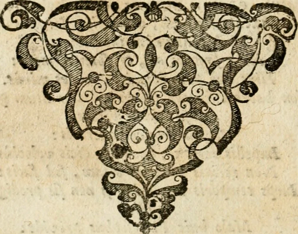 An illustration from Peripateticus nostri temporis, seu, Philosophus discursivus : in biennali cursu, per discursus symbolico-physicos, ad discursum, juxta sanctorum philosophorum exempla, piè curiosum instructus .., 1724, leaf 181