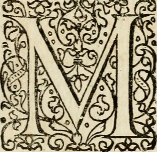 An illustration from Peripateticus nostri temporis, seu, Philosophus discursivus : in biennali cursu, per discursus symbolico-physicos, ad discursum, juxta sanctorum philosophorum exempla, piè curiosum instructus .., 1724, leaf 210