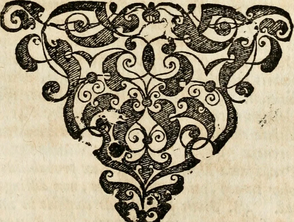 An illustration from Peripateticus nostri temporis, seu, Philosophus discursivus : in biennali cursu, per discursus symbolico-physicos, ad discursum, juxta sanctorum philosophorum exempla, piè curiosum instructus .., 1724, leaf 262