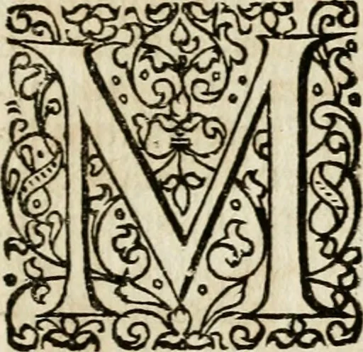 An illustration from Peripateticus nostri temporis, seu, Philosophus discursivus : in biennali cursu, per discursus symbolico-physicos, ad discursum, juxta sanctorum philosophorum exempla, piè curiosum instructus .., 1724, leaf 404
