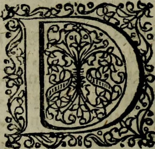 An illustration from Notae uberiores in Historiam Danicam Saxonis Grammatici : Una cum prolegomenis ad easdem notas, 1645, leaf 109