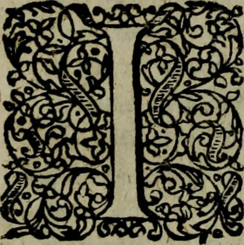 An illustration from Notae uberiores in Historiam Danicam Saxonis Grammatici : Una cum prolegomenis ad easdem notas, 1645, leaf 133