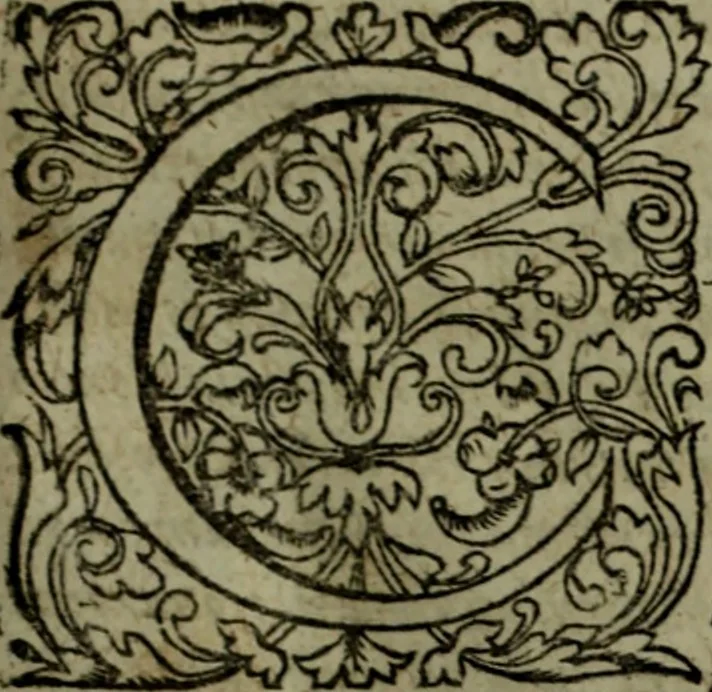 An illustration from Notae uberiores in Historiam Danicam Saxonis Grammatici : Una cum prolegomenis ad easdem notas, 1645, leaf 14