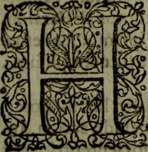 An illustration from Notae uberiores in Historiam Danicam Saxonis Grammatici : Una cum prolegomenis ad easdem notas, 1645, leaf 156