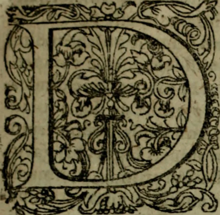 An illustration from Notae uberiores in Historiam Danicam Saxonis Grammatici : Una cum prolegomenis ad easdem notas, 1645, leaf 18
