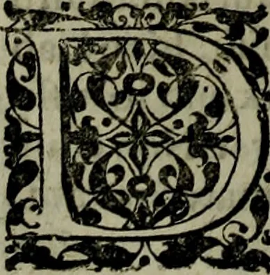 An illustration from Notae uberiores in Historiam Danicam Saxonis Grammatici : Una cum prolegomenis ad easdem notas, 1645, leaf 191