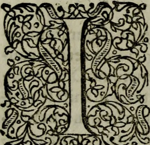 An illustration from Notae uberiores in Historiam Danicam Saxonis Grammatici : Una cum prolegomenis ad easdem notas, 1645, leaf 233