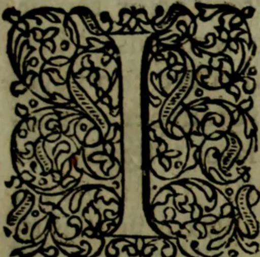 An illustration from Notae uberiores in Historiam Danicam Saxonis Grammatici : Una cum prolegomenis ad easdem notas, 1645, leaf 258